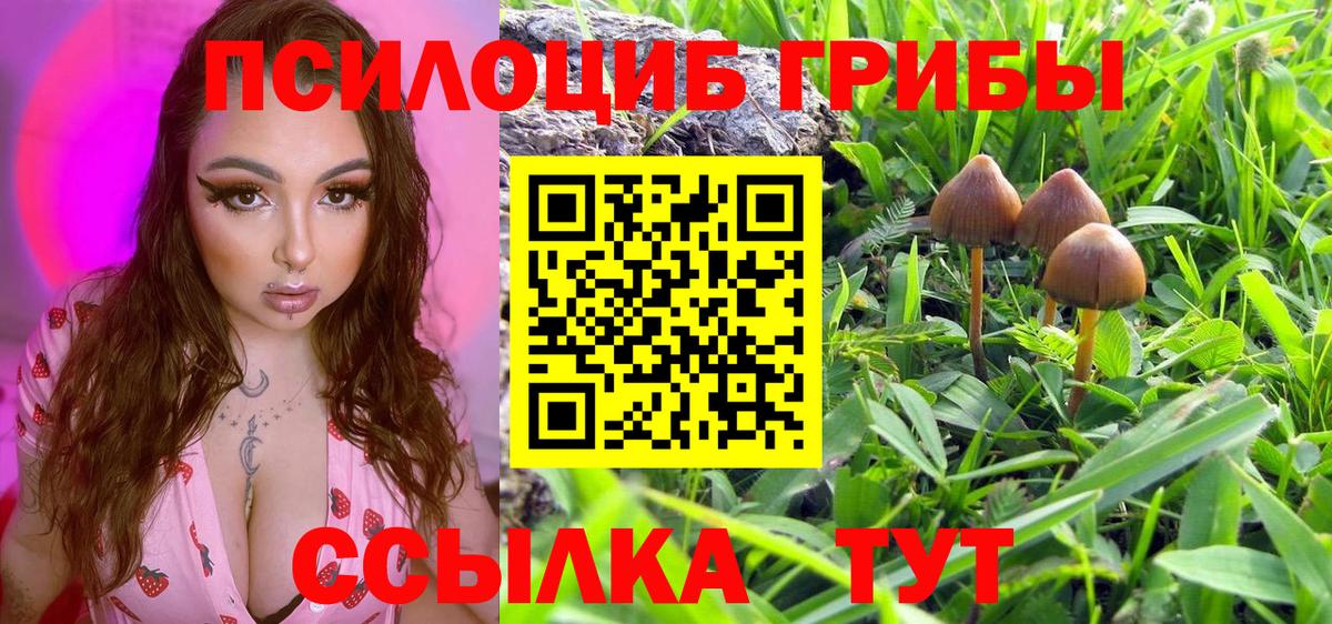 Галлюциногенные грибы мухоморы Нижний Тагил