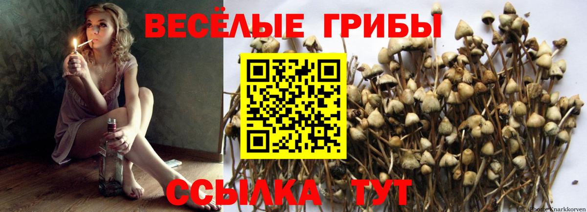 купить наркотики сайты  Псилоцибиновые грибы Cubensis  Вход с VPN  Нижний Тагил 